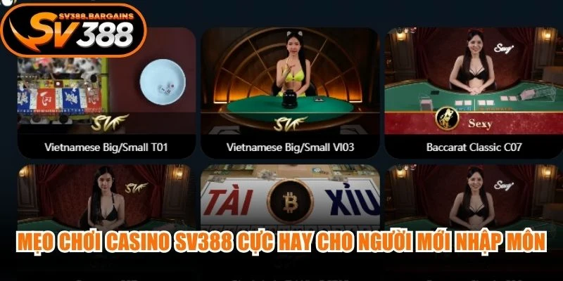 Mẹo chơi Casino SV388 cực hay cho người mới nhập môn