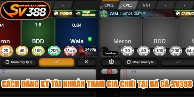 Cách đăng ký tài khoản tham gia chơi tại đá gà SV388